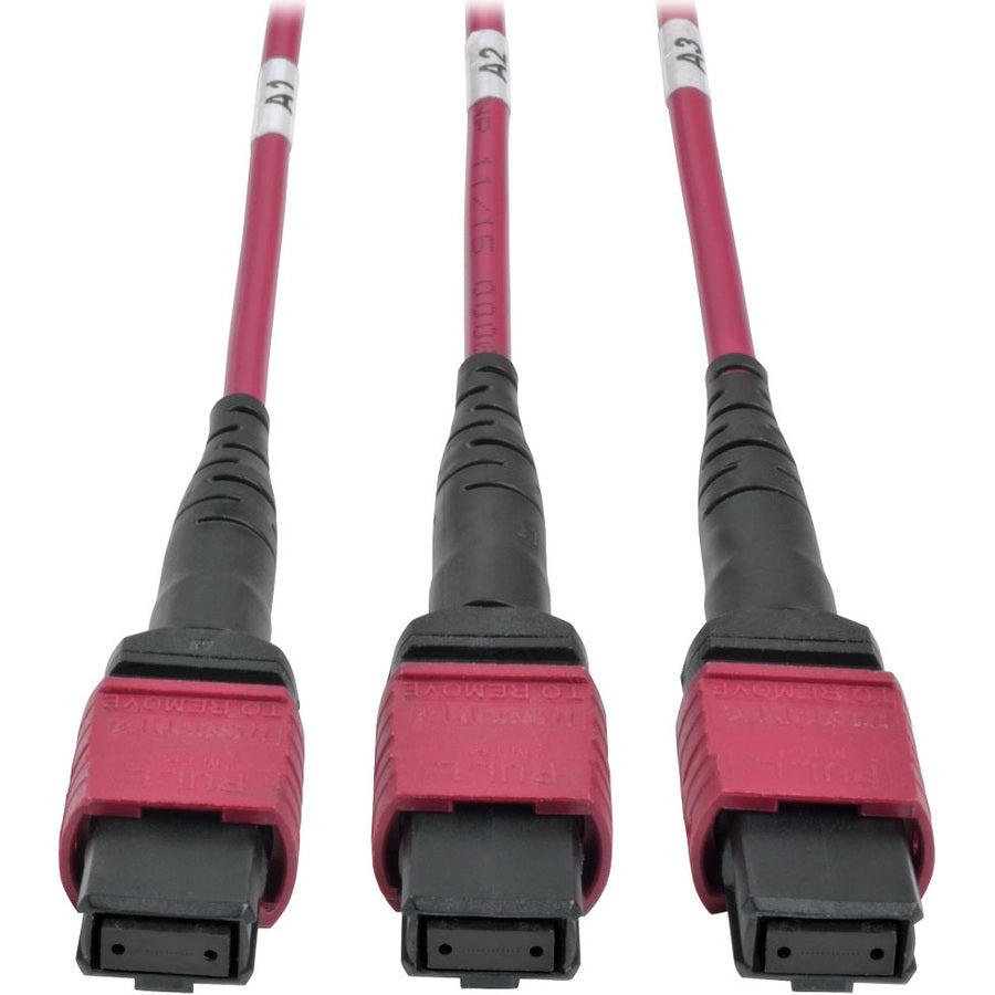 Tripp Lite N482-3M8L12-B 40/100Gb Om4 Fiber Breakout Cassette With Built-In Mtp Cables, 40Gb To 4