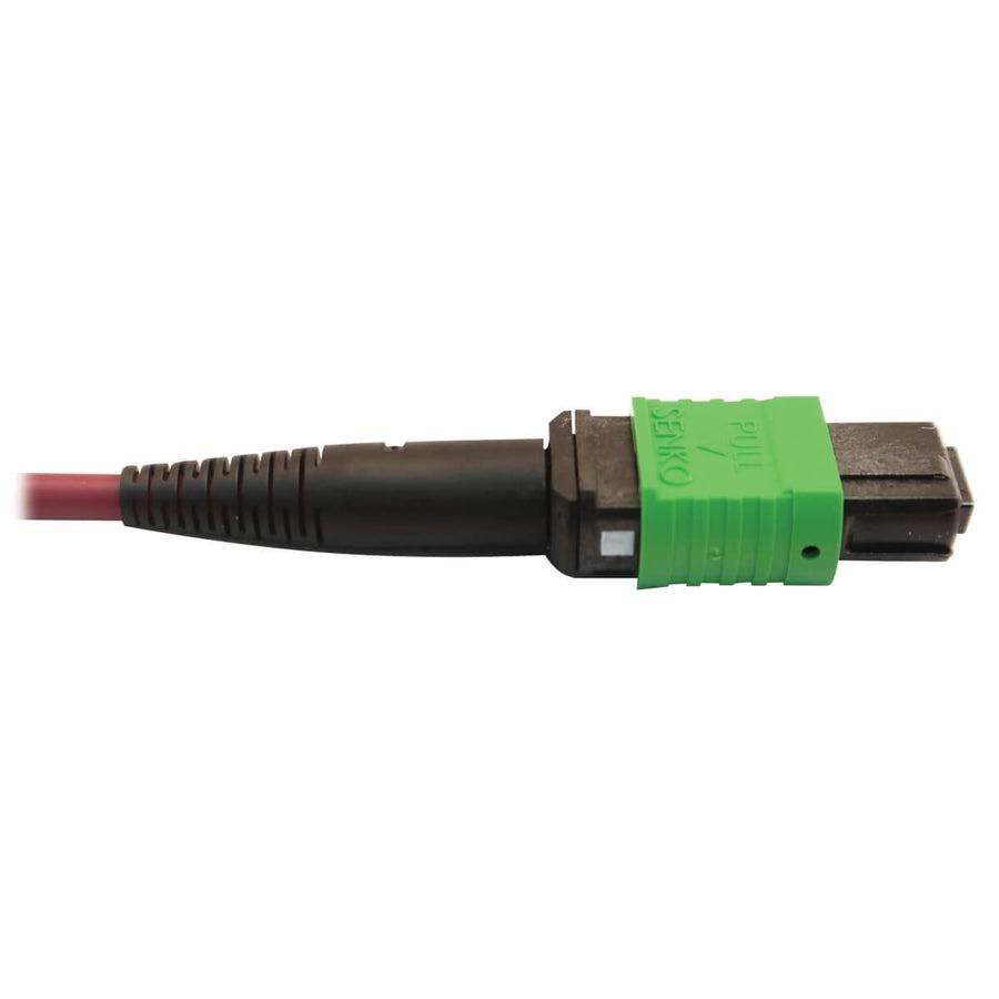 Tripp Lite N846D-01M-16Dmg 400G Multimode 50/125 Om4 Plenum Fiber Optic Cable, 16F Mtp/Mpo-Apc To (X2) 12F Mtp/Mpo-Upc (F/F), Magenta, 1 M