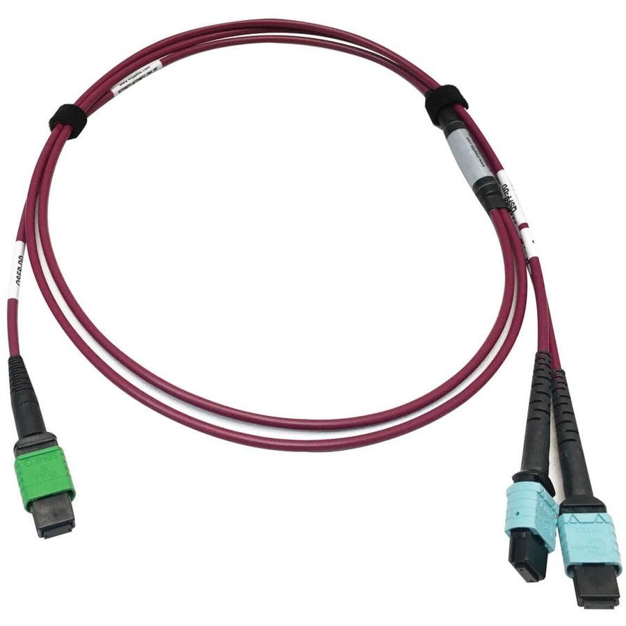 Tripp Lite N846D-01M-16Dmg 400G Multimode 50/125 Om4 Plenum Fiber Optic Cable, 16F Mtp/Mpo-Apc To (X2) 12F Mtp/Mpo-Upc (F/F), Magenta, 1 M