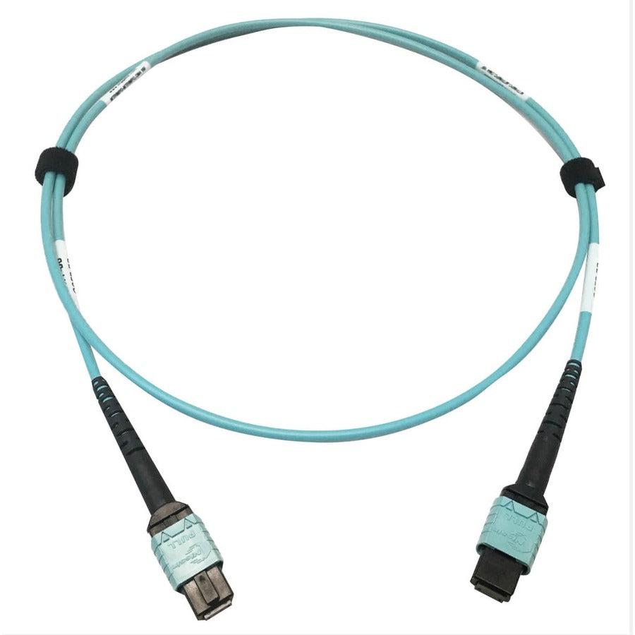 Tripp Lite N846D-01M-24Aaq 400G Multimode 50/125 Om4 Plenum-Rated Fiber Optic Cable, 24F Mtp/Mpo-Pc (F/F), Aqua, 1 M