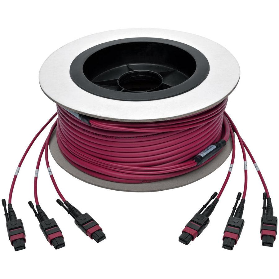Tripp Lite N858-23M-3X8-Mg Mtp/Mpo Multimode Base-8 Trunk Cable, 24-Strand, 40Gb/100Gb,