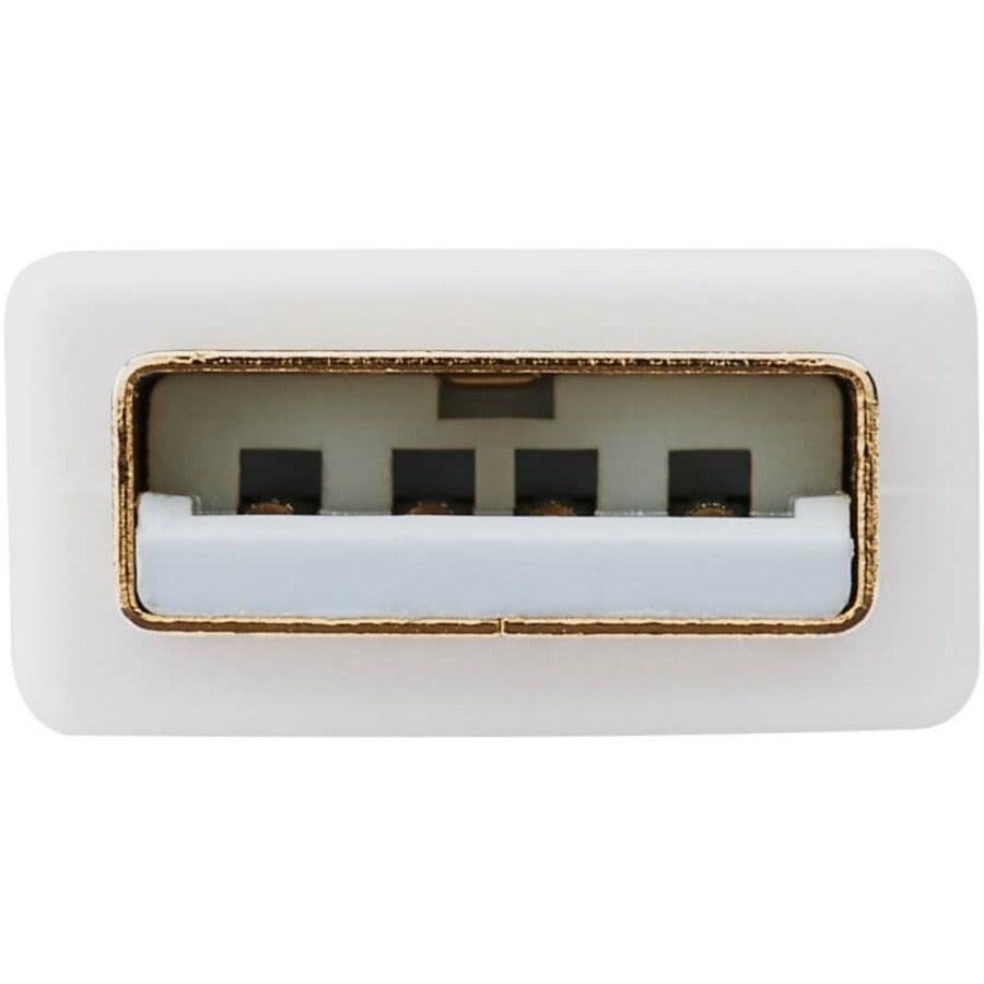 Tripp Lite P134-06N-Dvi-Dl Displayport To Dvi Dual-Link Active Adapter Video Converter (M/F), 6-In. (15.24 Cm)