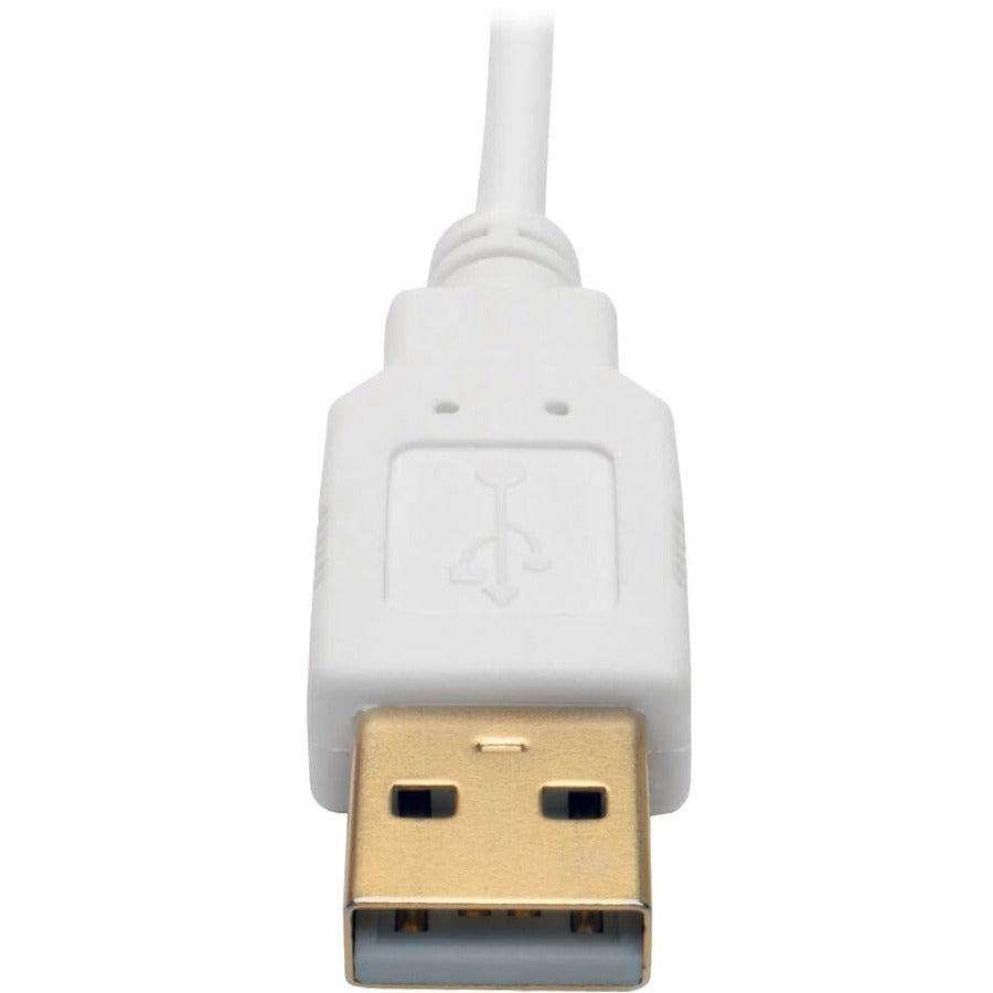 Tripp Lite P137-06N-Dvi-Dl Mini Displayport To Dvi Dual-Link Active Adapter Video Converter (M/F), 6-In. (15.24 Cm)