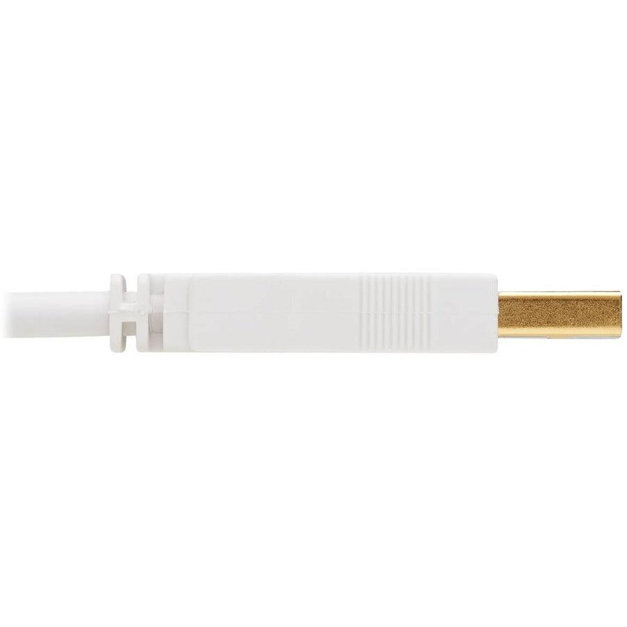 Tripp Lite U022Ab-006-Wh Safe-It Usb-A To Usb-B Antibacterial Cable (M/M), Usb 2.0, White, 6-Ft. (1.83 M)