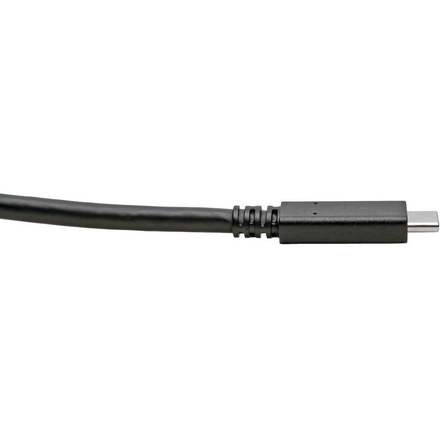 Tripp Lite U420-C06 Usb-C Cable (M/M) - Usb 3.1, Gen 1 (5 Gbps), Usb-If Certified, Thunderbolt 3 Compatible, 6 Ft. (1.83 M)