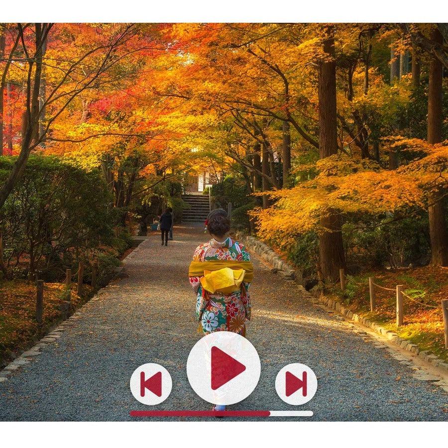 ViewSonic Rockchip RK3188 Quad-Core, Android 7.1, 16GB eMMC NMP589-W