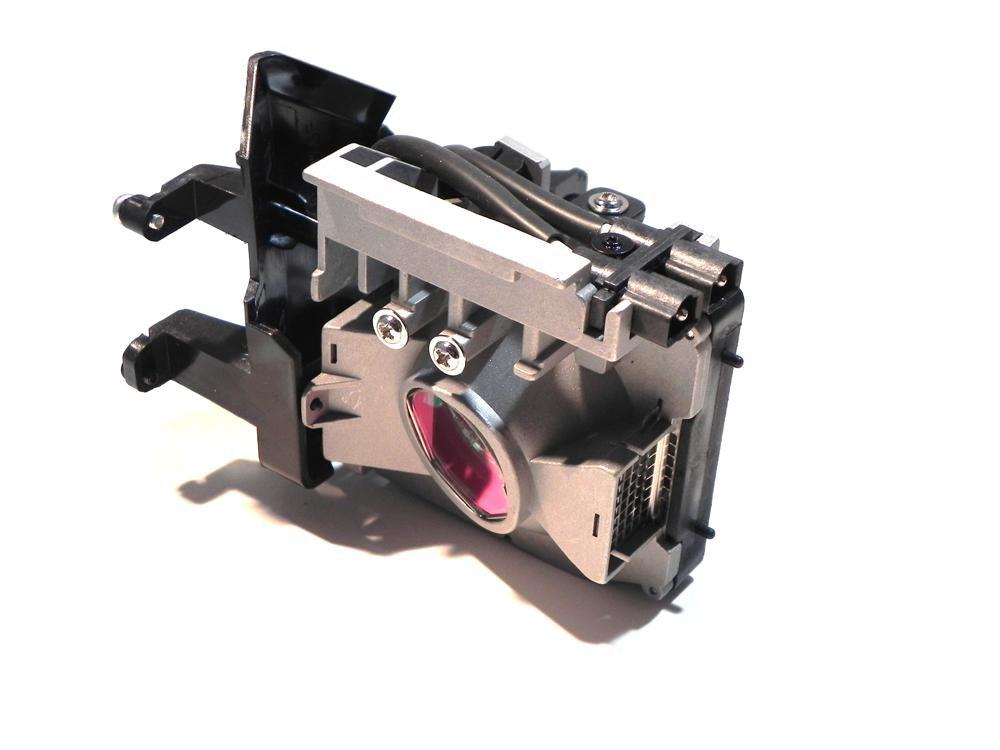 Ereplacements Dms700-Oem Projector Lamp